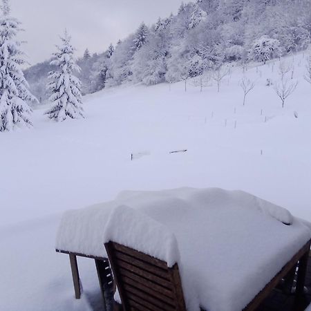 Apartmaji Borstner Vransko Exteriör bild